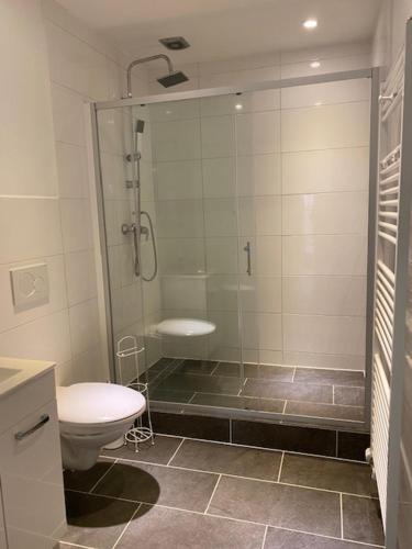吕贝克吕贝克家庭公寓的带淋浴、卫生间和盥洗盆的浴室