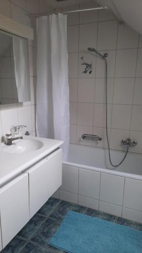 施泰法Pilgerhüsli Backpacker的带淋浴、盥洗盆和浴缸的浴室