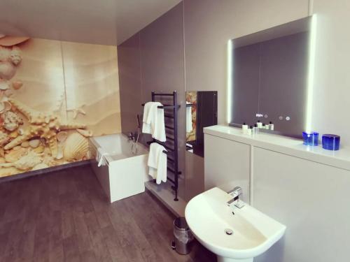 洛斯托夫特维多利亚酒店的浴室设有白色水槽和镜子