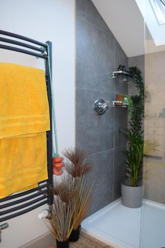 Paul6 Trungle Terrace的浴室设有淋浴,配有黄毛巾和植物