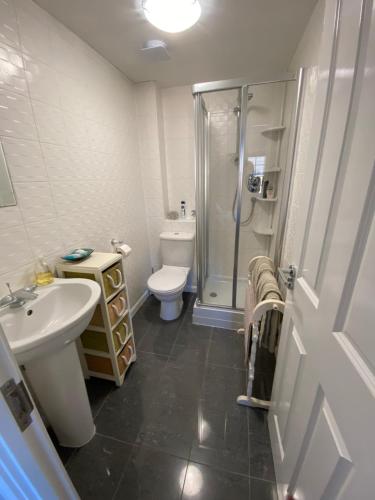 PeacehavenFlint Lodge的带淋浴、卫生间和盥洗盆的浴室