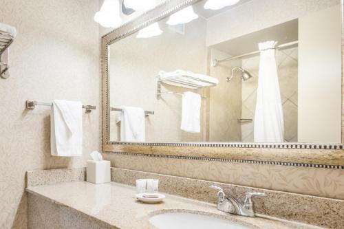 波特兰波特兰红狮酒店的一间带水槽和大镜子的浴室
