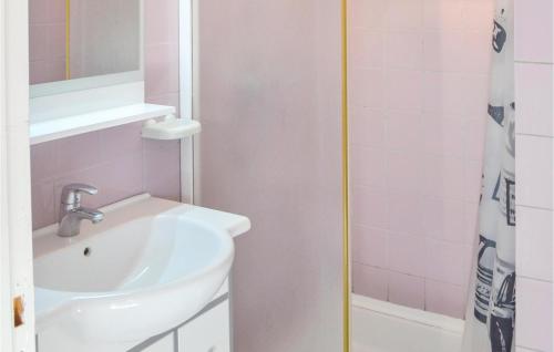PleuvenNice Home In Pleuven With Wifi的一间带水槽和淋浴的浴室