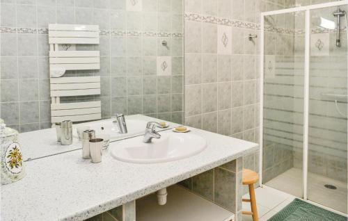 Landreville朗德勒维尔克莱斯街度假屋的一间带水槽和淋浴的浴室