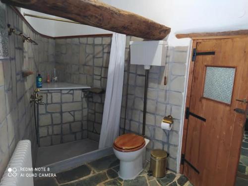 AyiáAfrodite's House-Restaurated Oil Factory的一间带卫生间和淋浴的小浴室