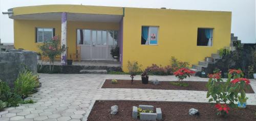 PortelaCiza e Rose的黄色的房子,前面设有一个庭院