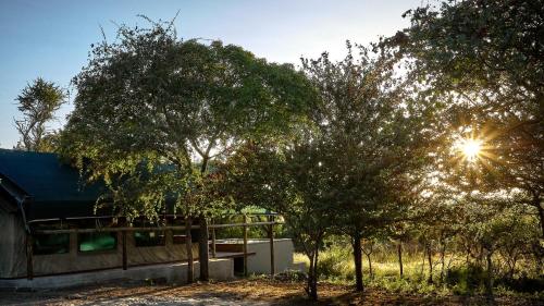 楚梅布ZuriCamp - Tent Madini的阳光照耀着树的房屋