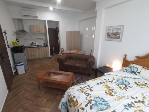贝塞里尔德拉谢拉Mini Apartamento de Lujo的一间卧室配有一张床、一张沙发和一张桌子