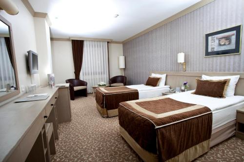 安卡拉瑟嘎酒店的酒店客房设有两张床和电视。