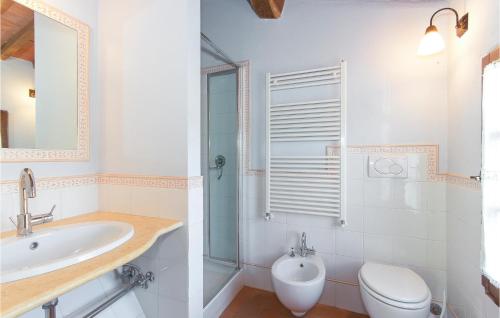 蒙特普齐亚诺Il Mulino Di Tresa的一间带水槽、卫生间和镜子的浴室