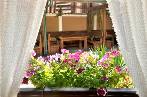 维丁维丁酒店的阳台,种着一束鲜花,设有长凳