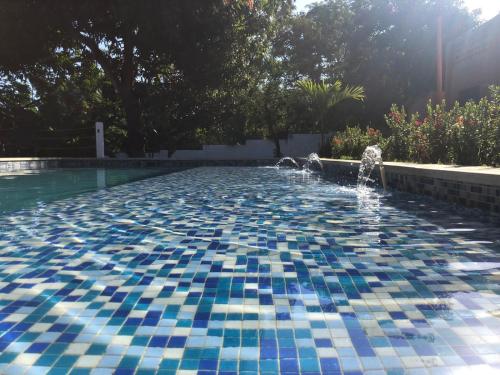 帕洛米诺Color Hostel Palomino的庭院中一个带喷泉的游泳池