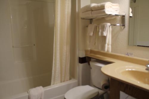 HastingsNichols Inn & Suites的浴室配有卫生间、淋浴和盥洗盆。
