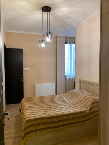 第比利斯Melikishvili str. apartment的一间卧室配有一张床和一个吊灯