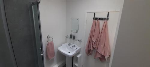 波特马多克Cosy Mews House Close to Harbour的浴室配有水槽、淋浴和白色水槽。