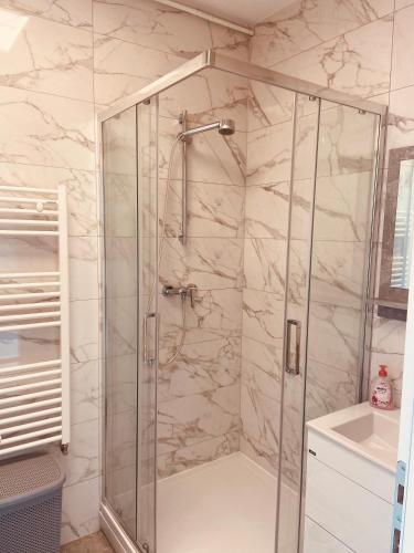 萨格勒布Jarun Lake的浴室里设有玻璃门淋浴