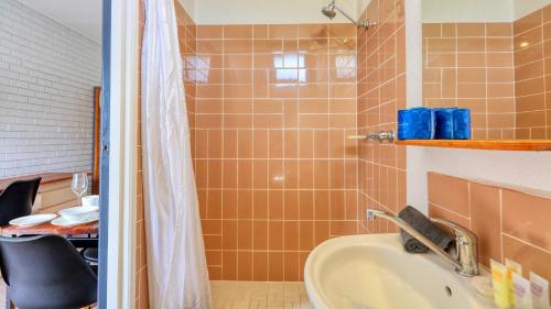 天鹅山太阳中心汽车旅馆的一间带水槽和淋浴的浴室