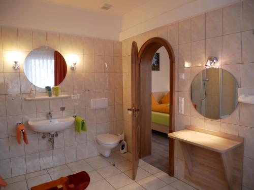 施卢赫湖Wochner's Hotel-Sternen Am Schluchsee Hochschwarzwald的一间带水槽、卫生间和镜子的浴室