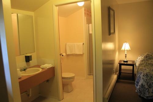 Alert BayOrca Inn的一间带水槽、卫生间和镜子的浴室