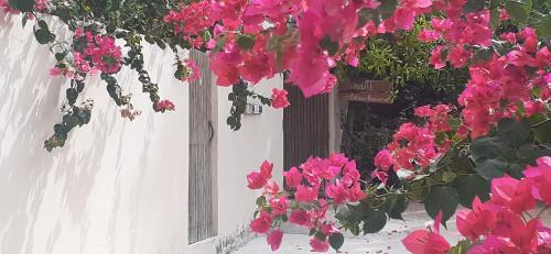 福廷Villa Jodie Fortim的白色建筑上的一束粉红色花