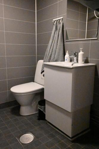LumijokiWilla Rauha 1B的一间带卫生间和水槽的浴室