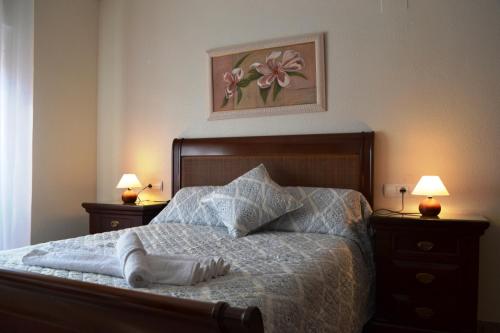 科尔多瓦Apartamento Ribera Real II的一间卧室配有一张床、两个床头柜和两盏灯。