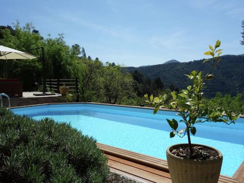 Saint-Fortunat-sur-EyrieuxModern holiday home with swimming pool的游泳池旁边种有盆栽植物