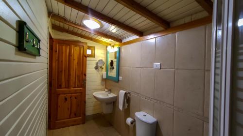 达哈布沙姆斯潜水中心旅舍的一间带卫生间和水槽的小浴室