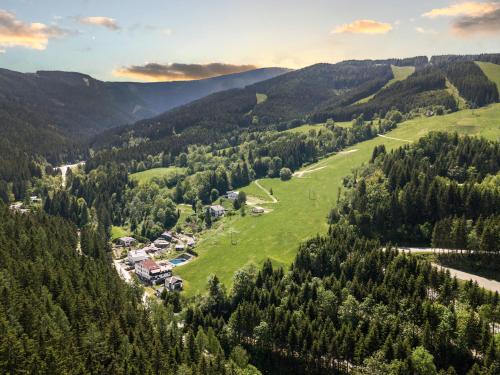 塞默灵施皮塔尔Hotel Sonnenalm Stuhleck的享有山脉村庄的空中景致