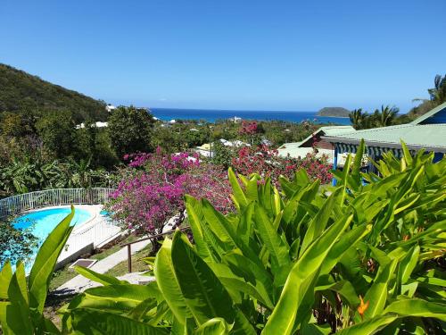 德赛La Colline Verte的一个带游泳池和一些植物的度假胜地