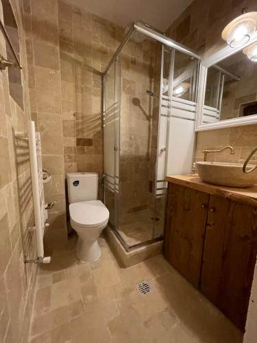 奥托佩尼Hotel Casa Romaneasca的浴室配有卫生间、淋浴和盥洗盆。