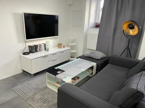 汉堡Kastanienallee 7的带沙发和平面电视的客厅