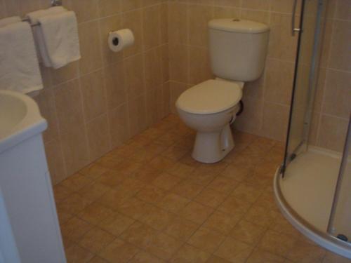 恩尼斯克朗Sun Apartments的一间带卫生间和淋浴的浴室