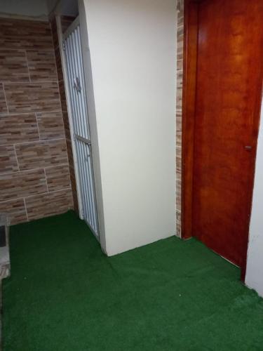 里约热内卢Quarto com suíte para mulheres的一条走廊,铺着绿色地毯,设有门