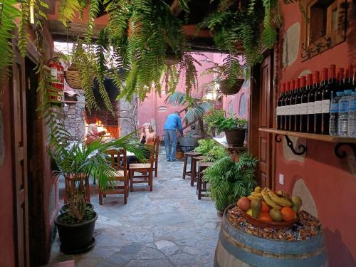 圣巴托洛梅Rural Suite Santiago de Tunte的一间设有桌椅和植物的餐厅
