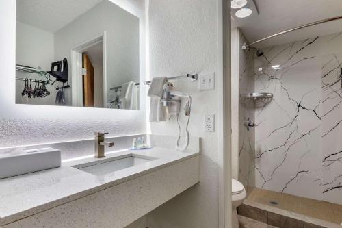 热萨尔弗斯普林斯Quality Inn & Suites Sulphur Springs的一间带水槽、镜子和卫生间的浴室