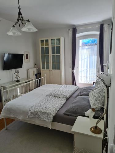巴特莱辛哈尔巴里奥勒别墅的一间卧室设有一张大床和一个窗户。