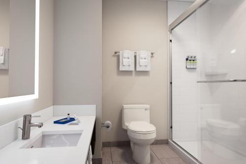 奥马哈Holiday Inn Express & Suites Central Omaha, an IHG Hotel的白色的浴室设有卫生间和淋浴。
