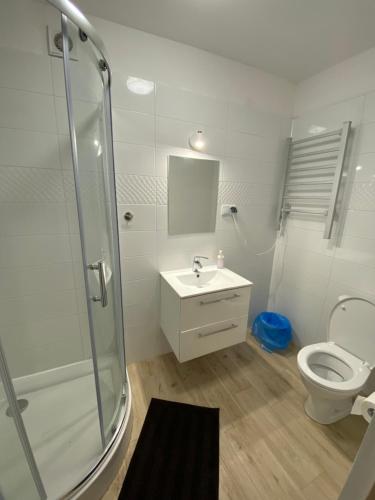 莱格尼察Hotelik Nad Zalewem 10 km od Legnicy的带淋浴、盥洗盆和卫生间的浴室