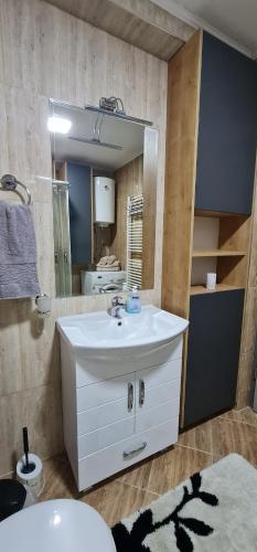 斯科普里Apartment Ortakovski的浴室设有白色水槽和镜子