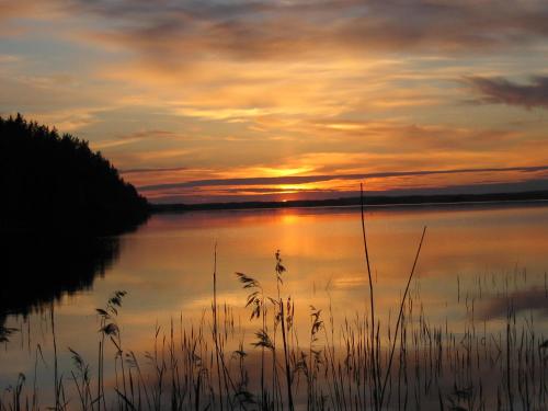VuoriniemiSaimaa Raikala的海面上高大的草的日落