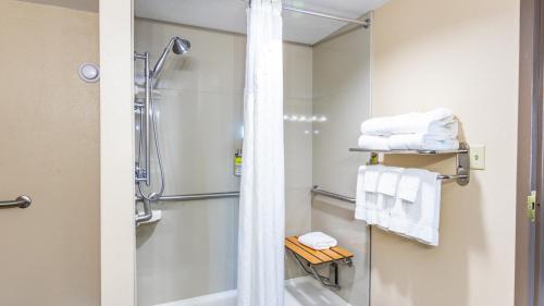 博伊西博伊西城中心智选假日酒店的带淋浴、卫生间和毛巾的浴室