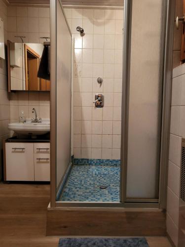 梅舍德Kleines Ferienhaus mit Charme的带淋浴和盥洗盆的浴室