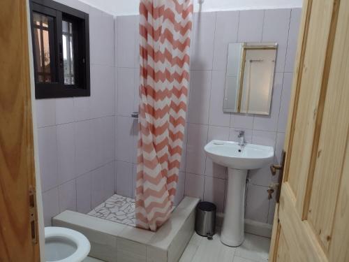 SanyangUnique Owl Apartments的一间带水槽和淋浴帘的浴室