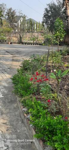 迪马普尔JUNGJUNG HOMESTAY的街道边种满红色花的花园