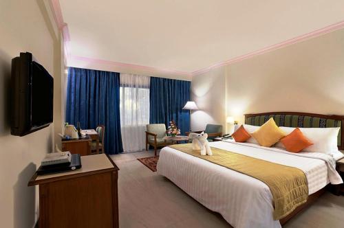钦奈拉达丽晶，金奈酒店的酒店客房,配有床和电视