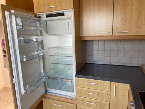 高莱茵河畔布辛根Brulaire Büsingen am Hochrhein的空冰箱,厨房配有木制橱柜
