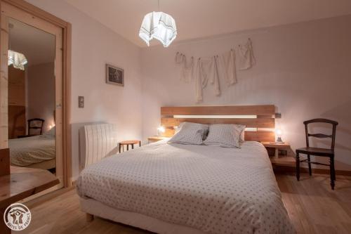 安锡Gite urbain AU 2BIS - Annecy的一间卧室配有一张大床和镜子