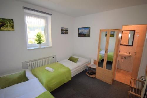 泽勒兹纳·鲁达Pension St. Moritz的酒店客房设有两张床和窗户。
