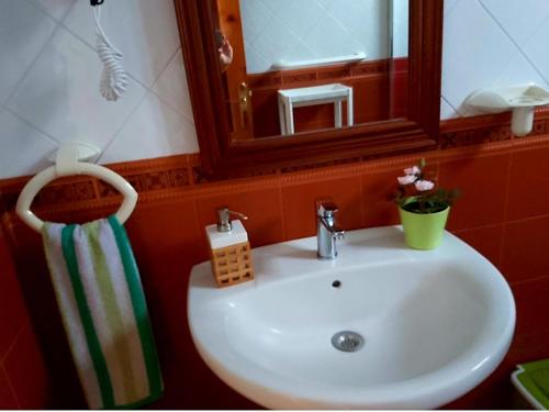 AlojeraVv - Casa Clary -Finca Medina的浴室水槽配有镜子和毛巾